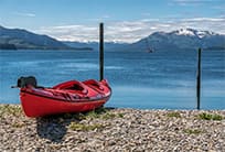 juneau alaska cruise tours